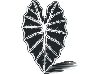 Wall Mural - Black and white graphic of elephant ear leaf with striped shadow. Vector hand drawn