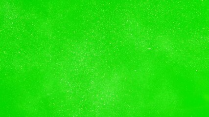 Wall Mural - Numerous fresh green springtime leaves gracefully detach and gently descend against a solid green screen gently descend, gracefully detach, foliage