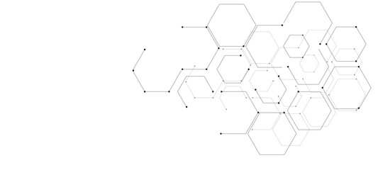 vector illustration of a spider