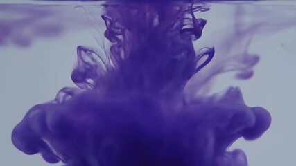 Wall Mural - A seamlessly looping video featuring delicate purple blue ink drops, diffusing and blending in slow motion through a clear liquid, forming unique abstract patterns modern, diffusing, amethyst