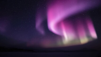Wall Mural - Seamlessly looping video depicting gentle pink and violet aurora-like light gracefully dancing across the frame violet, abstract, gentle pink and violet