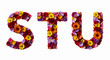 © DNA STUDIO - The letters s, t, and u are vibrantly formed from a colorful assortment of fresh flowers and petals, creating a lively and natural alphabet display isolated on a white background