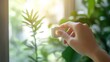 © putri syakilla - Woman's Hand Holding a Small Device near a Window with Plants