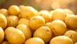 © Zian - A pile of fresh yellow potatoes