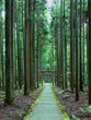 © kyotophoto_s - 京都市の市街地から離れた山間部にひっそりと佇む賀茂神社の参道と鳥居