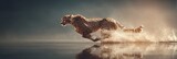 A cheetah sprinting across a shimmering surface, showcasing its speed and agility.