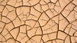 © Devt - Arid cracked earth texture showing a parched landscape with dry cracked soil surface