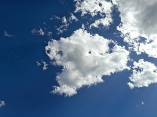 Wall Mural - cumulus clouds in the sky.