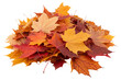 © Israt - Beautiful autumn leaves in vibrant colors for seasonal backgrounds and fall-themed decorations