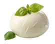© Israt - Fresh mozzarella cheese with basil leaves isolated on white background for culinary presentation