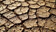 © Thi - abstract natural patterns in cracked mud, earthy textures, sunlight emphasizing relief, realistic macro photography, high resolution detailed surface, organic artistic composition of ground textures