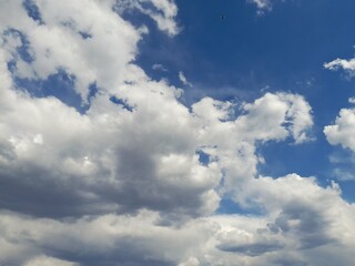 Wall Mural - blue sky with clouds
