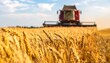 © Ojo - Golden wheat field with a harvester