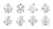 © MstMili - Delicate floral arrangements botanical line art elements for elegant design projects silhouette