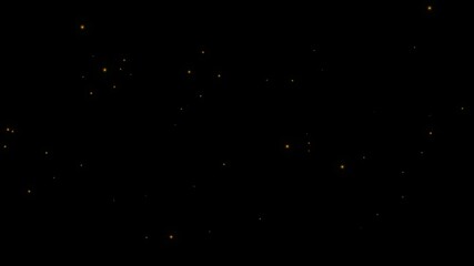Wall Mural - looping video animation of golden glowing fireflies