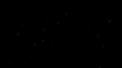 Wall Mural - Seamless looping video animation of blue fireflies on black background