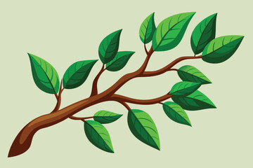 Illustration of a branch with green leaves on a light background