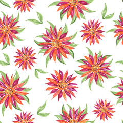 Wall Mural - Watercolor Burgundy Flowers Seamless Pattern Background.Png on Transparent Background