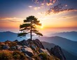 © Kicau - Majestic pine on mountaintop at sunrise