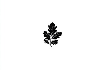 Silhouette of an oak branch with leaves.