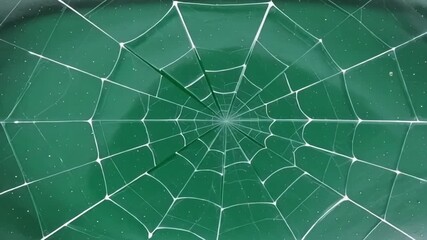Intricate spider web glistens with dew, creating a delicate natural pattern against a deep green background.