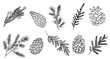 © Creative_Juice_Art - Set of fir branches and pine cones line art vector botanical illustrations. Winter greenery hand drawn black ink sketches collection. Modern design for Christmas greeting cards, background, banners
