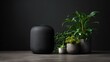 © grintavox60 - Modern black speaker with potted plants