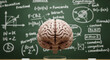© ULFATRAZA - human brain in front of a blackboard.