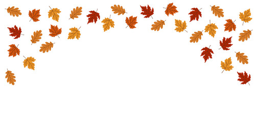 Wall Mural - Colorful autumn leaves isolated on transparent background. Falling orange, red and yellow oak maple foliage. Decorative natural border overlay, clipart. Seasonal banner, Thanksgiving, Halloween design