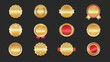© Kuat - Luxury gold badge set with red and metallic accents. Collection of 12 elegant award seals featuring glossy gradients, laurel wreaths, stars, and ribbons.
