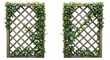 © Hungarian - Two rustic wooden lattice panels are adorned with lush green climbing plants, creating a decorative and natural scene.