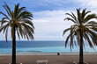 Promenade with palm trees and view of the Mediterranean Sea in downtown Nice, Cote d'Azur, French Riviera