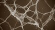 © 培 余 - Microscopic network of interconnected cellular structures resembling neurons or biological membranes