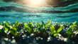 © vannet - Underwater plants absorbing carbon dioxide in a blue carbon ecosystem, visualizing carbon sequestration and marine conservation, palette of aqua blue, seafoam green, environmental science