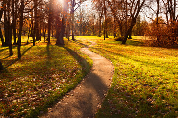 Wall Mural - Autumn landscape, autumn walking path in the park