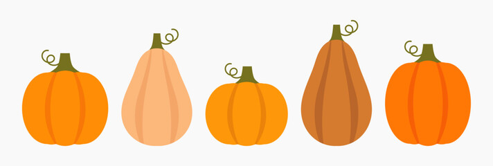 Wall Mural - Pumpkins and squashes autumn collection harvest. Elements for design. Vector illustration.