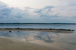 © Holger - Seagull on stone groyne with cloud reflections across blue sea at Solitude Flensburg
