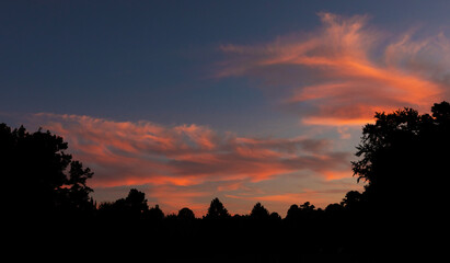 Wall Mural - colorful sunrise over a thick north carolina forest