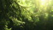 © backup_studio - Sunlight filtering through lush green foliage creates a serene atmosphere in a vibrant natural setting