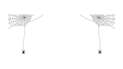 Spider and Web: A minimalist, stark image features a spider precariously suspended within its intricate web, crafted with delicate strands, evoking a sense of nature's artistry.