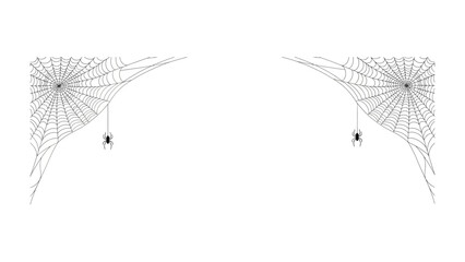 Intricate Web Design: A detailed and symmetrical view of two spider webs, meticulously crafted with radial precision and capturing the essence of nature's artistry.