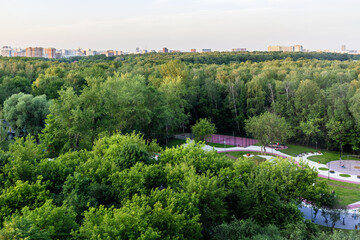 Wall Mural - above view of green city park in summer twilight