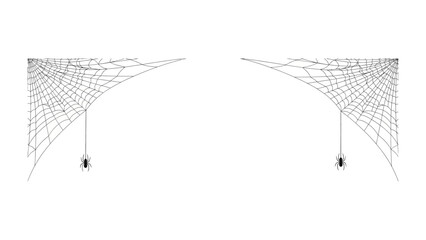 Spider's Web Design: A graphic illustration showcasing two symmetrical spider webs with their center point. Each web holds a small spider.