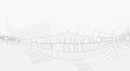 Delicate spiderweb glistens with early morning dew drops a fragile trap