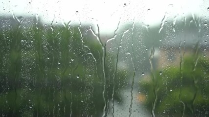 Wall Mural - ﻿Timelapse of rain falling and streaming down a windowpane, creating abstract patterns atmospheric, environment, abstract