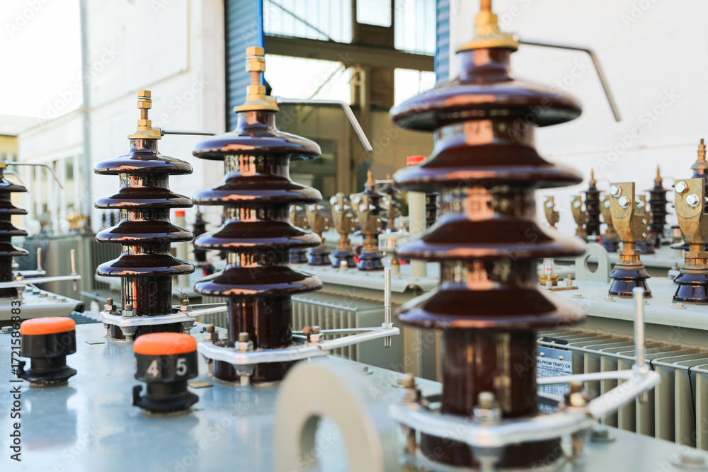 High voltage ceramic insulators on power distribution transformer in ...