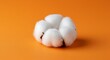 © 培 余 - A single cotton boll on an orange background