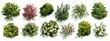 © Blue Rain - Top view of various bushes, shrubs, and flowers in landscape design on a white background, flat lay.