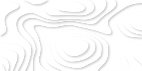 Wall Mural - abstract luxury diamond creative topography map background vector natural shadow papercut web topogr