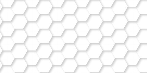 Wall Mural - abstract pattern hexagonal white technology line paper background. hexagonal grid tile mosaic struct